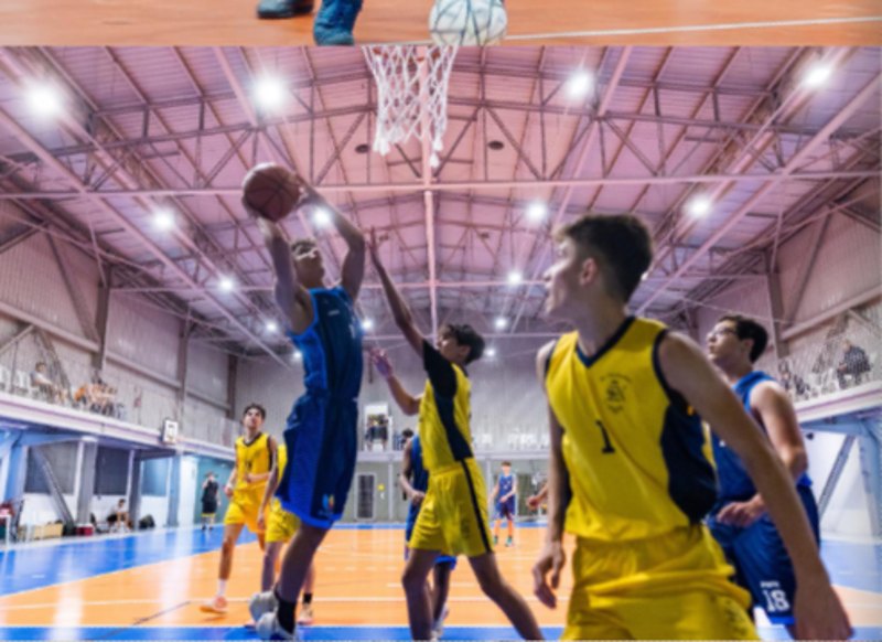 Basquetebol